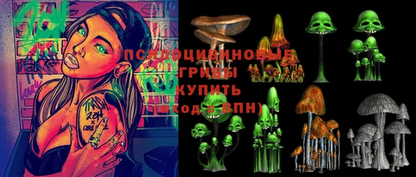 мяу мяу мука Абаза