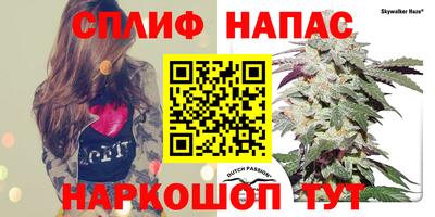 МДПВ Канаш